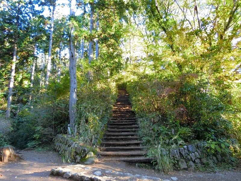 f:id:Margatroid:20191201103911j:plain