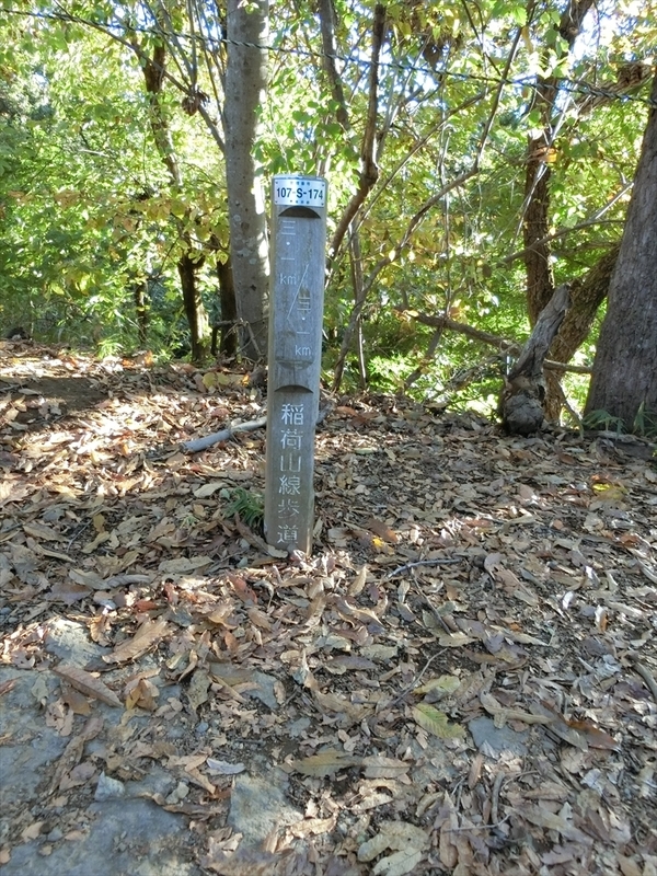 f:id:Margatroid:20191201103921j:plain