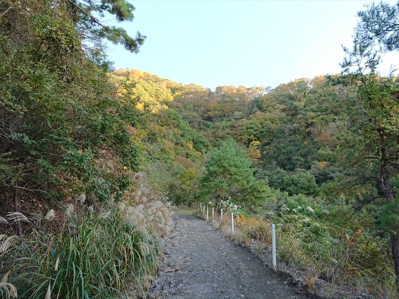 f:id:Margatroid:20191201104800j:plain