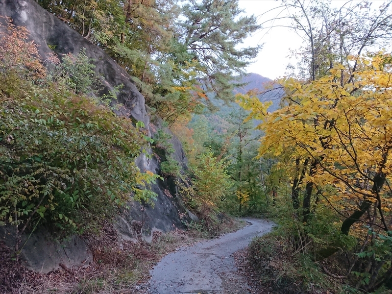 f:id:Margatroid:20191201104814j:plain