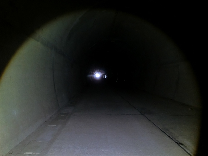 f:id:Margatroid:20200401100207j:plain