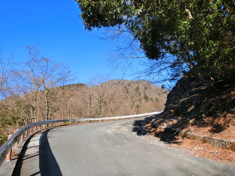 f:id:Margatroid:20200401101049j:plain