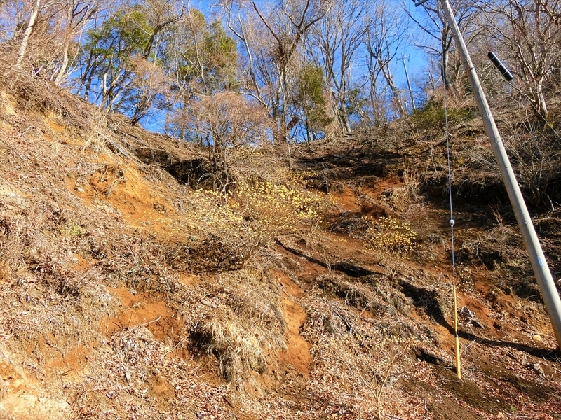 f:id:Margatroid:20200401101101j:plain