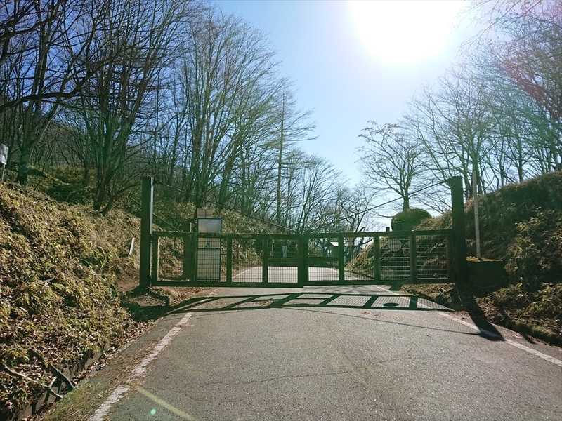 f:id:Margatroid:20201209152642j:plain