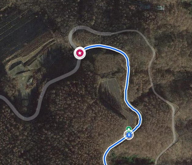 f:id:Margatroid:20201210175420j:plain