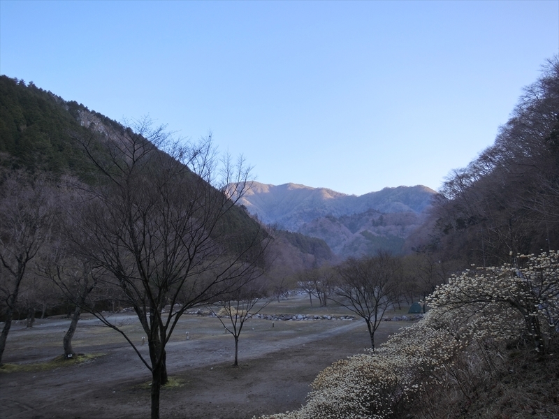 f:id:Margatroid:20210327150811j:plain