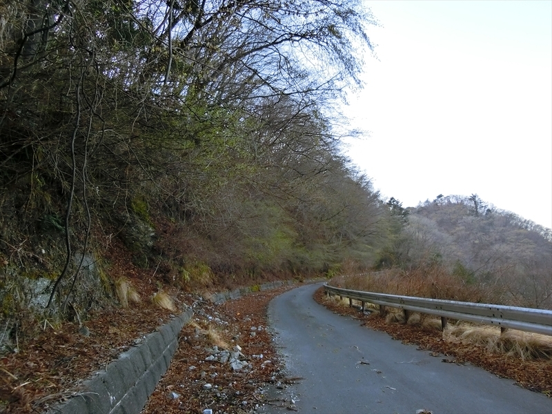 f:id:Margatroid:20210327150847j:plain