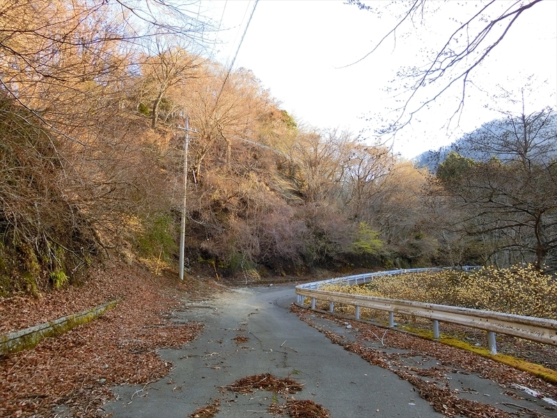 f:id:Margatroid:20210327150942j:plain