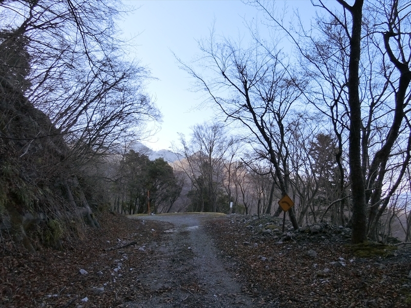 f:id:Margatroid:20210327151029j:plain