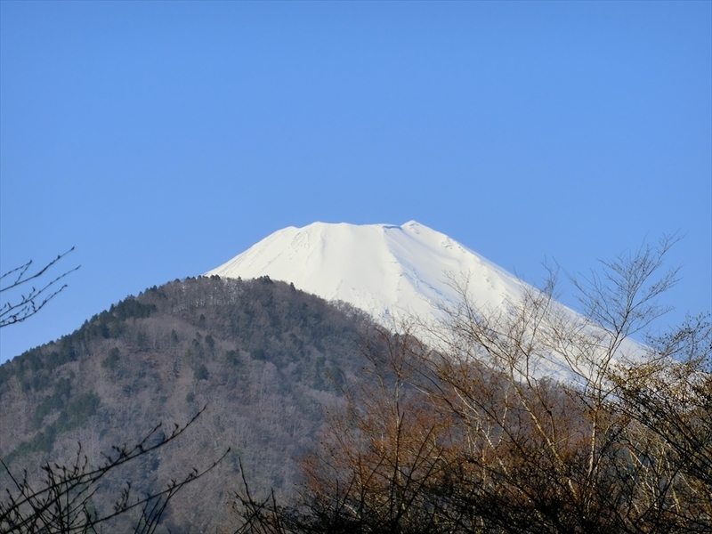 f:id:Margatroid:20210327151221j:plain