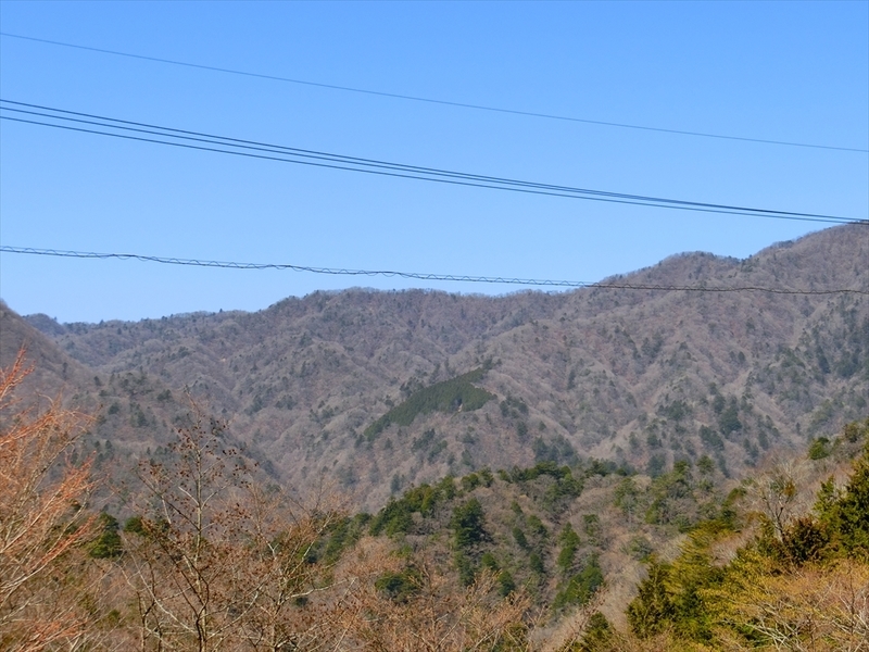 f:id:Margatroid:20210327151502j:plain