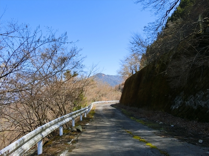 f:id:Margatroid:20210327151942j:plain