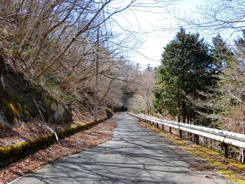 f:id:Margatroid:20210327152024j:plain