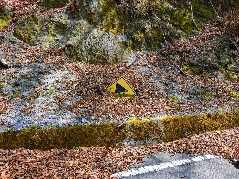 f:id:Margatroid:20210327152039j:plain