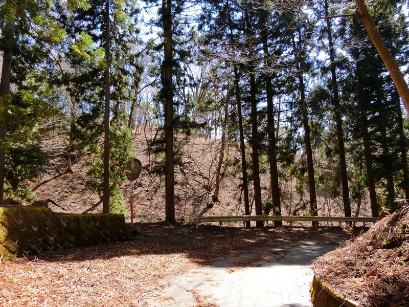 f:id:Margatroid:20210327152051j:plain