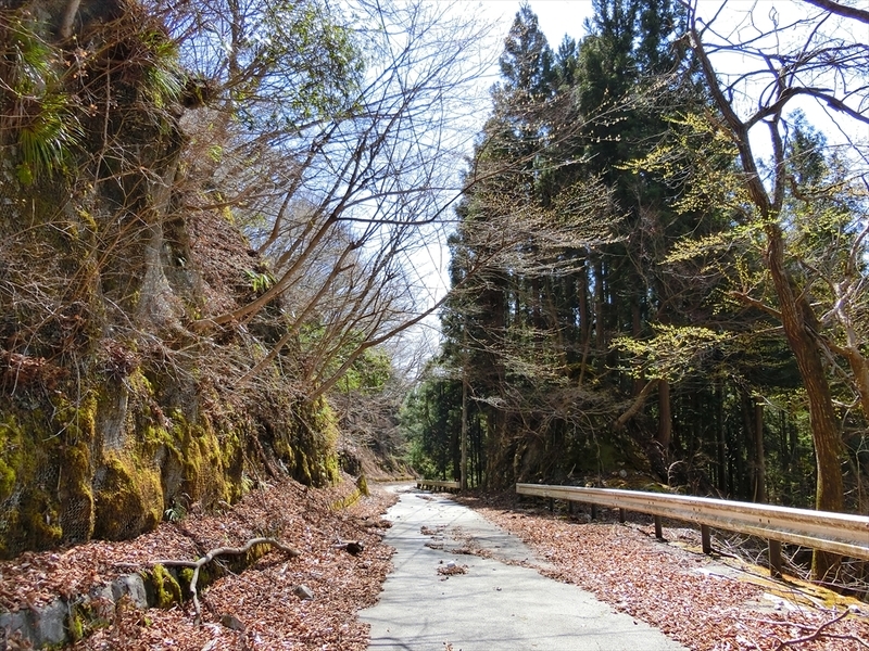 f:id:Margatroid:20210327152056j:plain