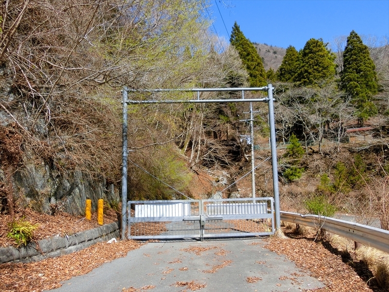 f:id:Margatroid:20210327152101j:plain