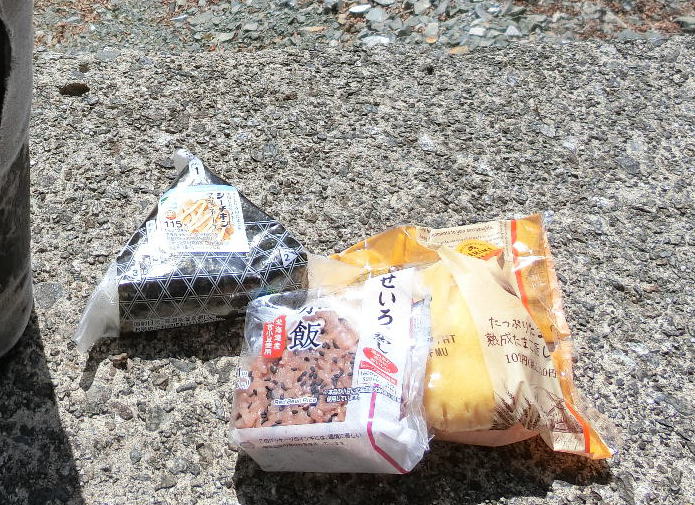 f:id:Margatroid:20210328143904j:plain