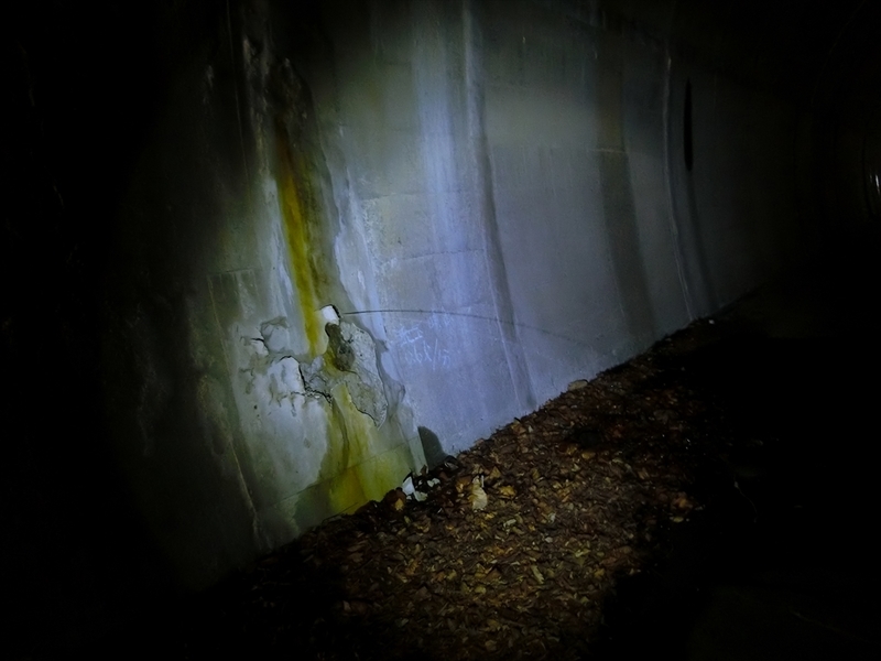 f:id:Margatroid:20210328145217j:plain