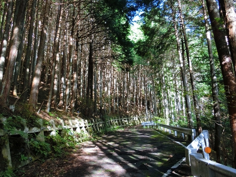 f:id:Margatroid:20211018170251j:plain