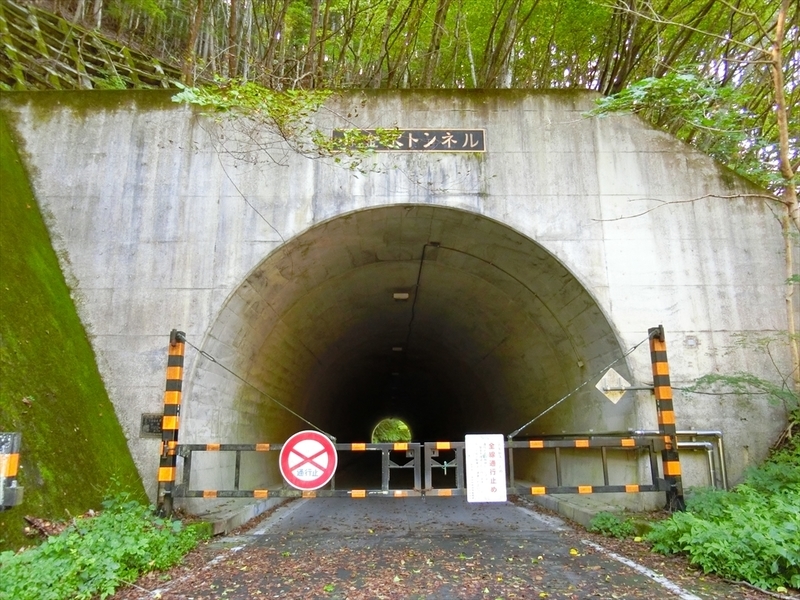 f:id:Margatroid:20211018170413j:plain