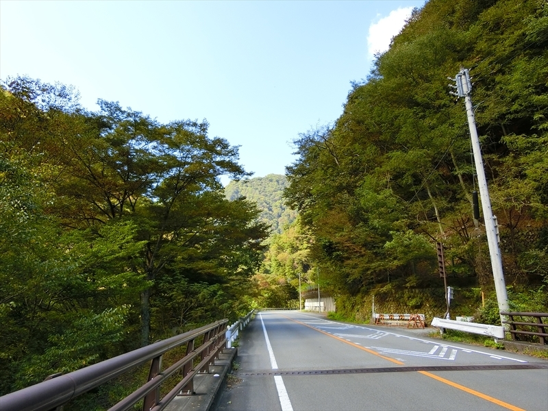 f:id:Margatroid:20211018171010j:plain