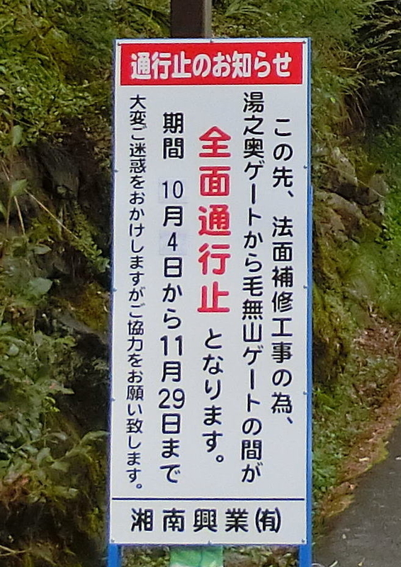 f:id:Margatroid:20211020162427j:plain