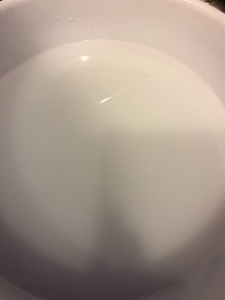 f:id:MariSomari:20190408235431j:image