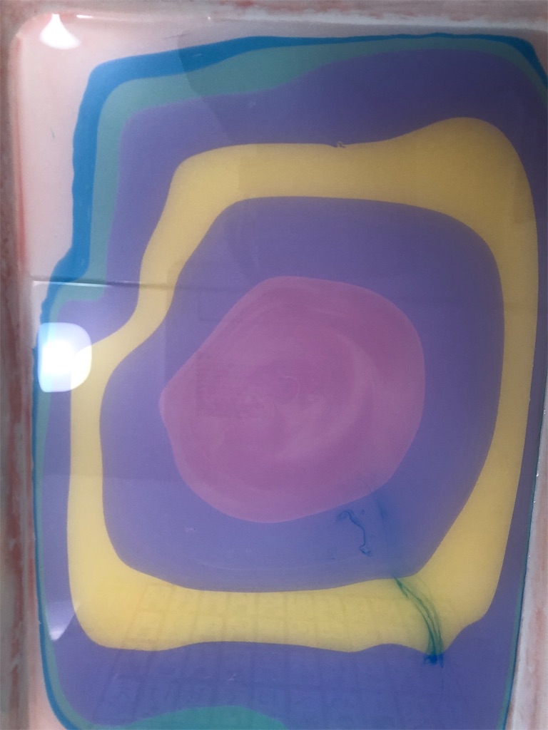 f:id:MariSomari:20190408235636j:image