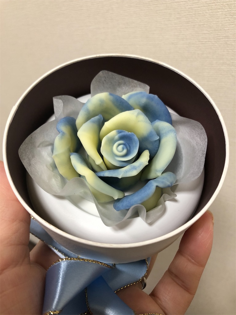 f:id:MariSomari:20200301093325j:image