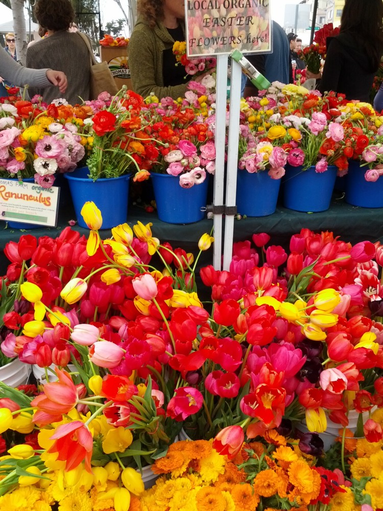 f:id:Marichan:20130330131259j:image