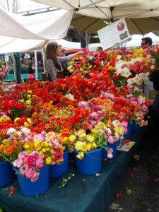 f:id:Marichan:20130330131304j:image