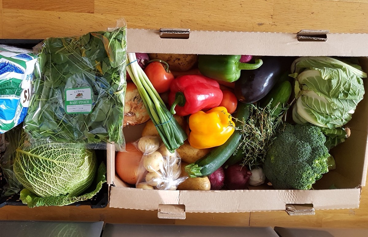 f:id:Marichan:20200407185759j:plain f:id:Marichan:20200407185759j:plain