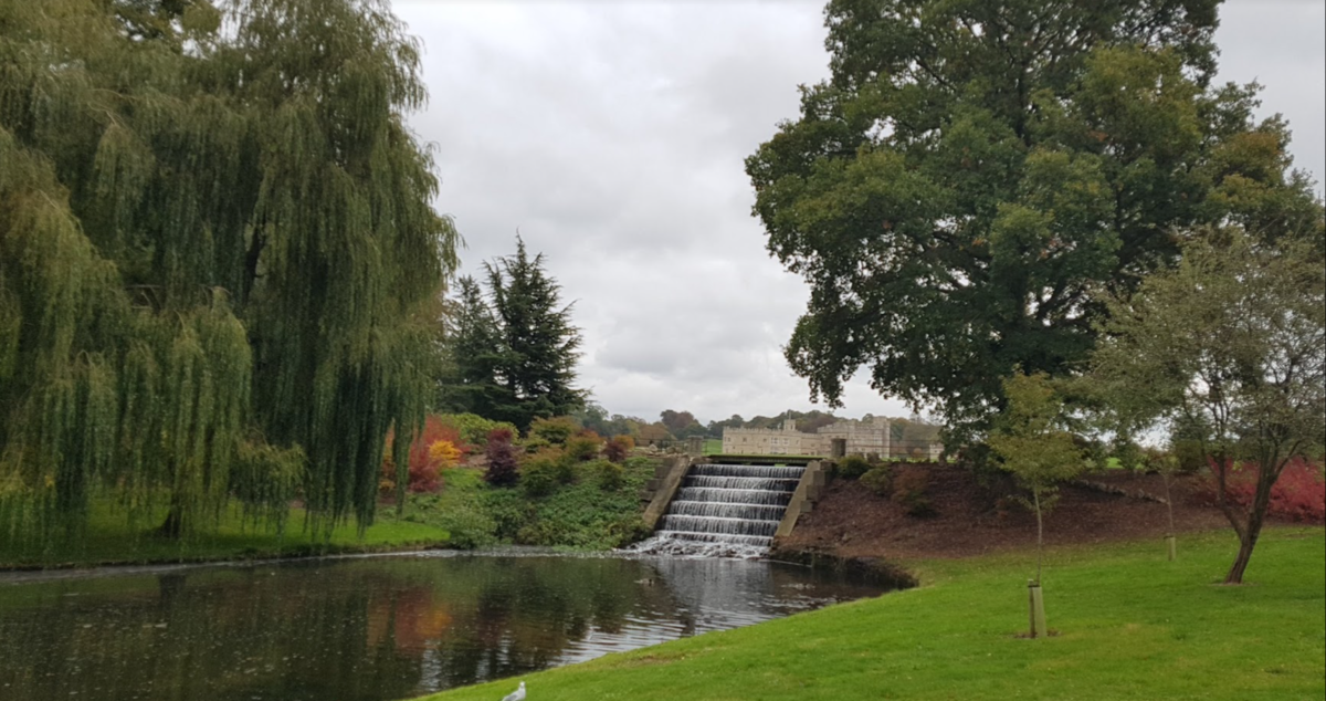 f:id:Marichan:20201211025641p:plain