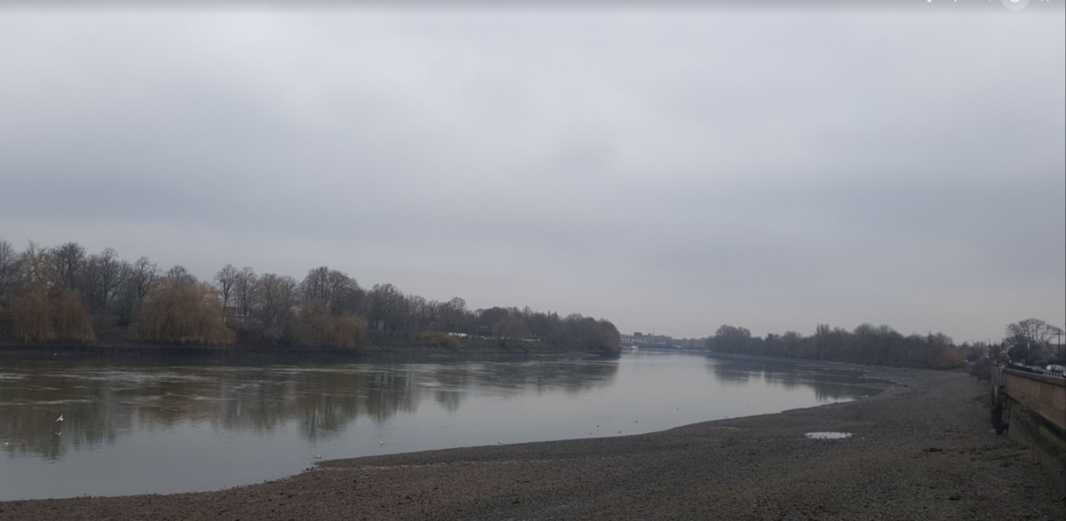 f:id:Marichan:20210111233823p:plain