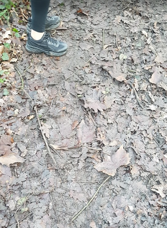 f:id:Marichan:20210111233939p:plain