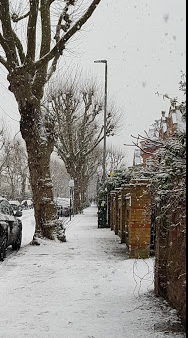 f:id:Marichan:20210125211925p:plain