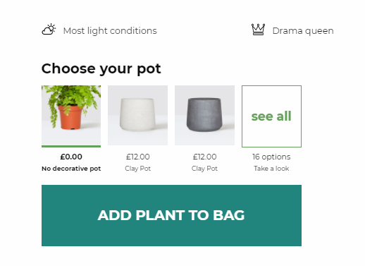 f:id:Marichan:20210213003256p:plain