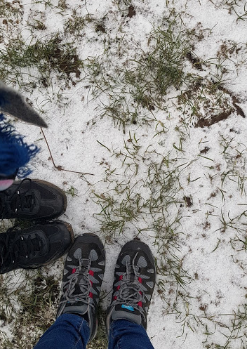 f:id:Marichan:20210215235302p:plain