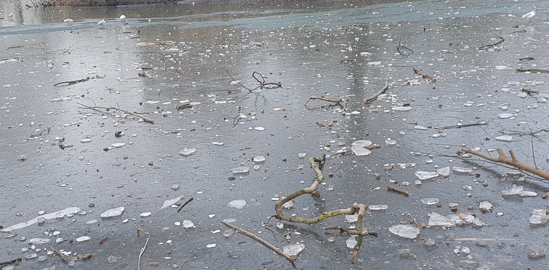 f:id:Marichan:20210215235602p:plain