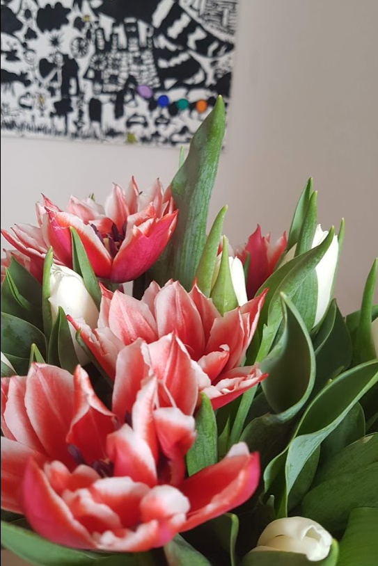 f:id:Marichan:20210315205831p:plain