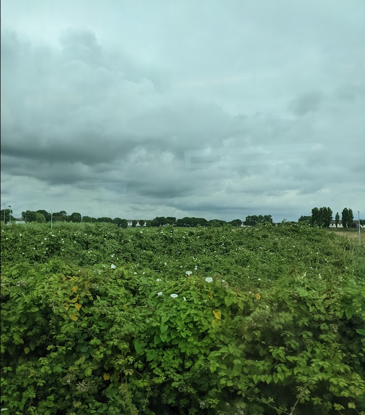 f:id:Marichan:20211116012538p:plain