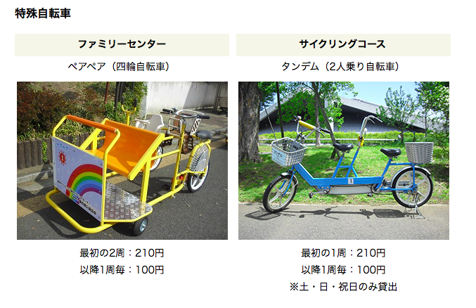 f:id:Mariemama:20200311180039p:plain