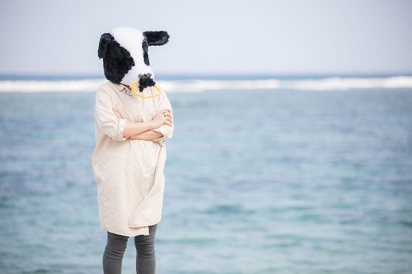海辺で悩む牛の画像 海辺で悩む牛の画像