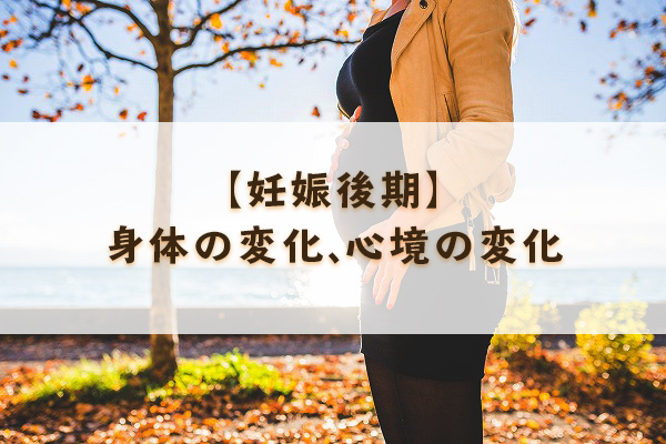 f:id:Mariko154:20181205110708j:plain f:id:Mariko154:20181205110708j:plain