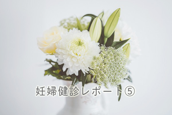 f:id:Mariko154:20181207105112j:plain f:id:Mariko154:20181207105112j:plain