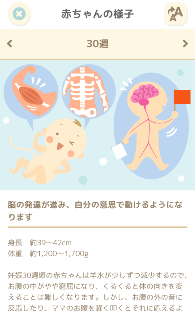 f:id:Mariko154:20181210113102p:plain f:id:Mariko154:20181210113102p:plain