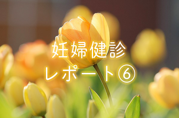 f:id:Mariko154:20181218113018j:plain f:id:Mariko154:20181218113018j:plain