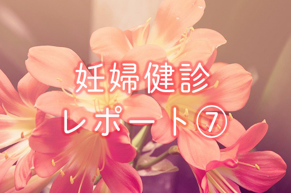 f:id:Mariko154:20181221111349j:plain f:id:Mariko154:20181221111349j:plain