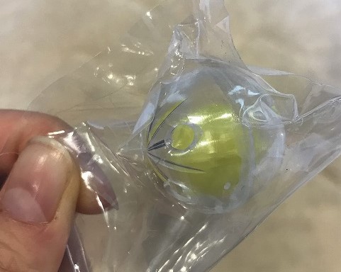 f:id:Mariko154:20190104182519j:plain f:id:Mariko154:20190104182519j:plain